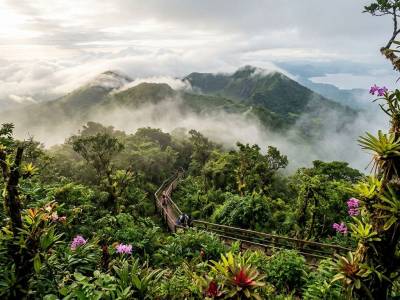 Ultimate Mombacho Volcano Hike & Canopy Tour Guide | EcoTerra Nicaragua