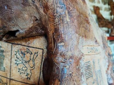 De grafiosis y otras cantinelas