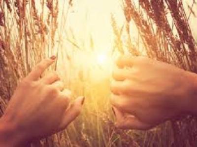 Cultivar la presencia: aprende a estar realmente aquí y ahora. Terapia gestalt online