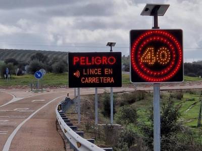 Señales de tráfico en Extremadura: linces y anfibios