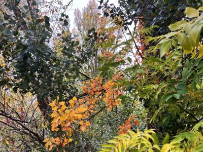 Llegó el otoño y pasó sin llamar
