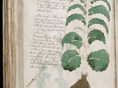 El manuscrito Voynich: el libro medieval que desafía a los investigadores