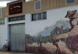 Tienda de vinos online