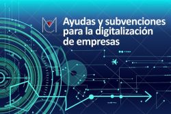 Subvenciones para la Digitalización de Empresas