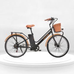 Bicicletas de paseo