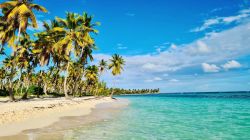 Tour Isla Saona