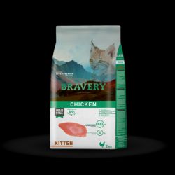 Comida de calidad para tu gato cachorro