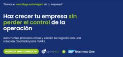 Implementación de SAP Business One