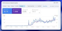 Expertos en posicionamiento web