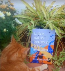 Antología de cuentos: Entre gatos, perros y otros animales