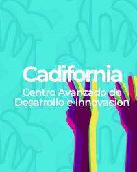 Consultoría de negocio tecnológica | Desarrollo e ingeniería